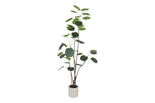 Kunst plant Polyscias in pot - 230 cm hoog