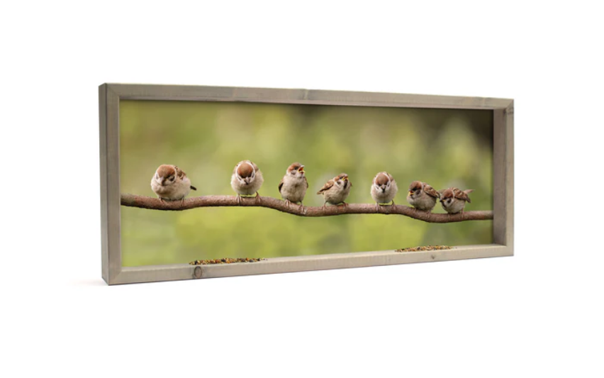 Feedy Vogelvoederlijst  panorama - 7 mussen op tak (102 x 42 cm)  (Magazijn sale)