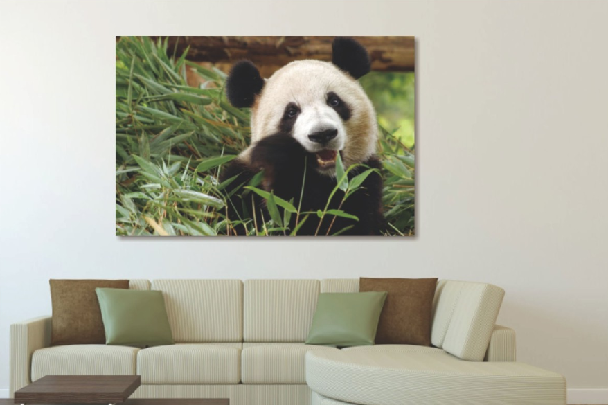 Glasschilderij panda in de natuur 120x80 cm (magazijn sale)