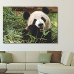 Glasschilderij panda in de natuur 120x80 cm