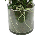 Kunstbloem in glazen pot Dendrobium wit - 56 cm hoog