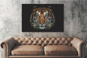 Glasschilderij Tijger kop zwarte achtergrond 120x80 cm (magazijn opruiming)