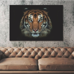 Glasschilderij Tijger kop zwarte achtergrond 120x80 cm (magazijn opruiming)