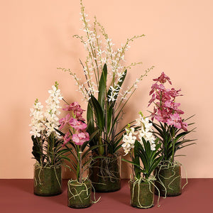 Kunstbloem in glazen pot Dendrobium wit - 56 cm hoog