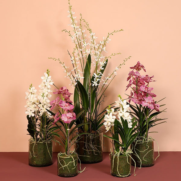 Kunstbloem in glazen pot Dendrobium wit - 56 cm hoog