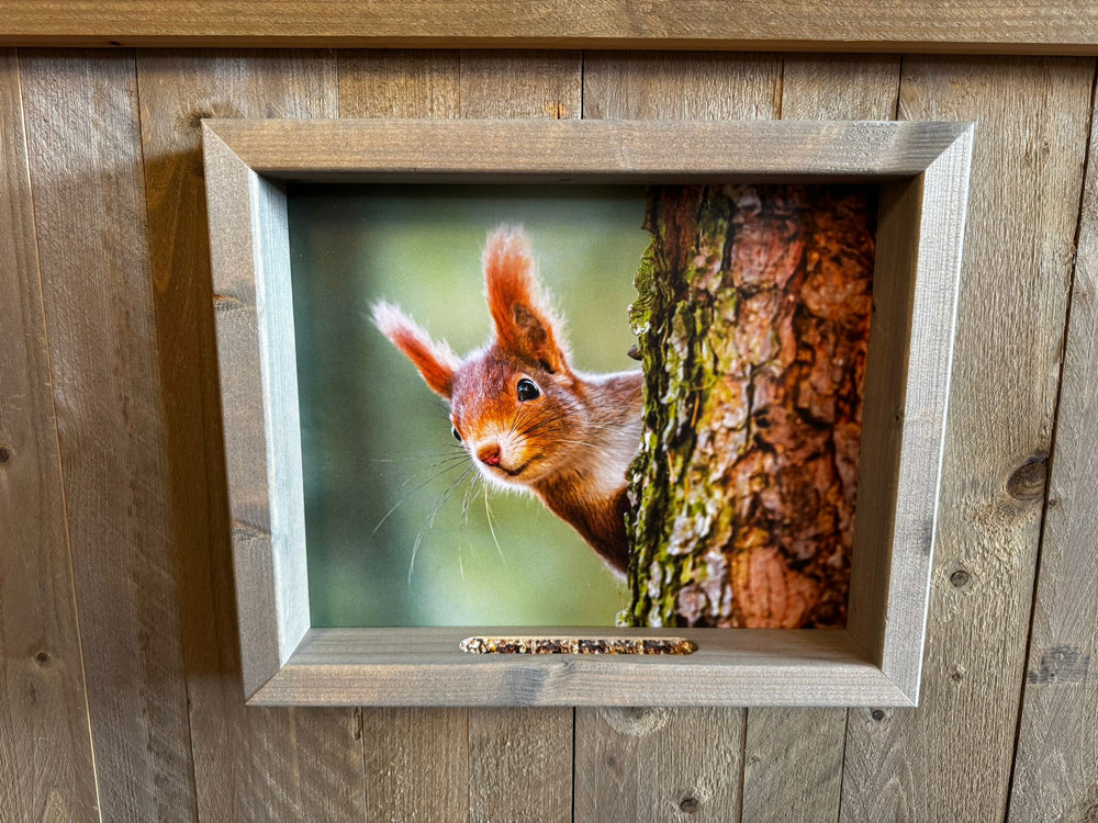 Feedy Vogelvoederlijst medium - Eekhoorn achter boom (41 x 34 cm)