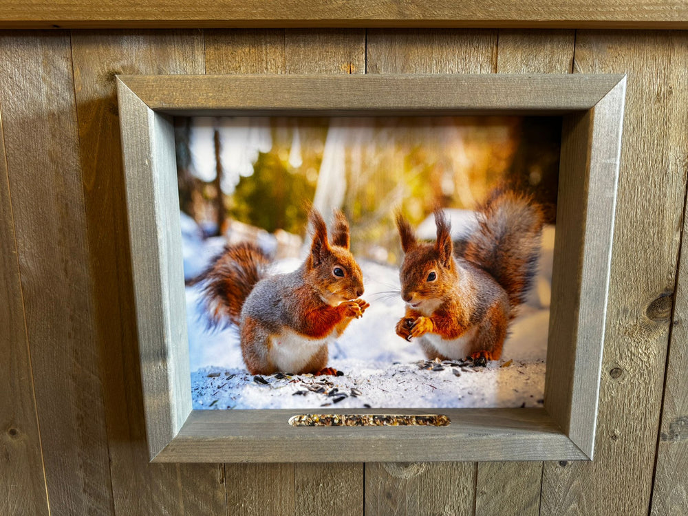 Feedy Vogelvoederlijst medium - 2 eekhoorns in winterlandschap (41 x 34 cm)