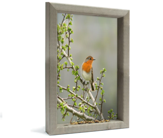 Feedy Vogelvoederlijst medium - Roodborst in doornstruik (34 x 41 cm)