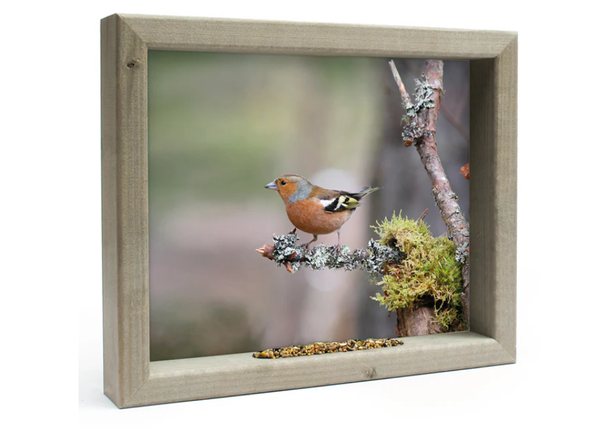 Feedy Vogelvoederlijst medium - Vink op mostak (41 x 34 cm) (Magazijn sale)