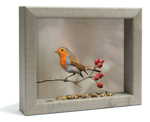 Feedy vogelvoederlijst small - Roodborstje (31 x 25 cm)