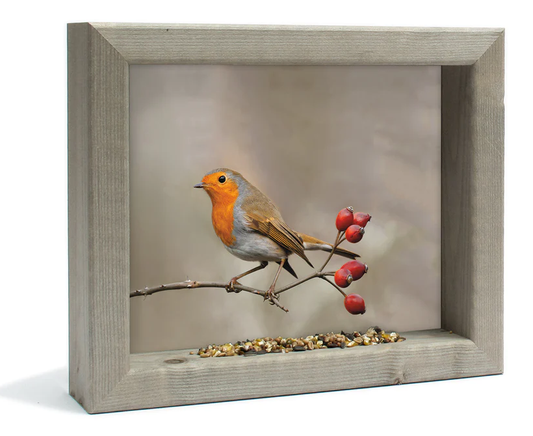 Feedy vogelvoederlijst small - Roodborstje (31 x 25 cm)