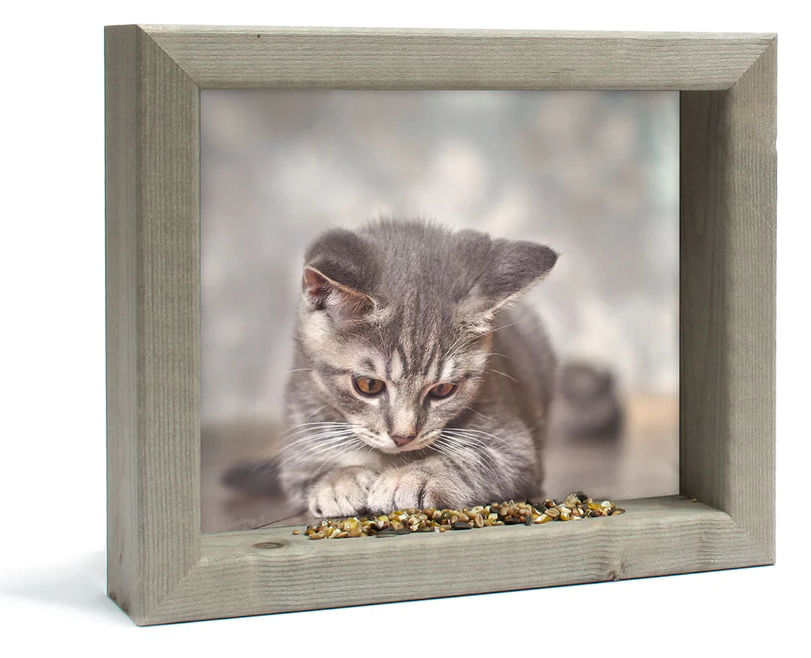 Feedy vogelvoederlijst small - Katje (31 x 25 cm)