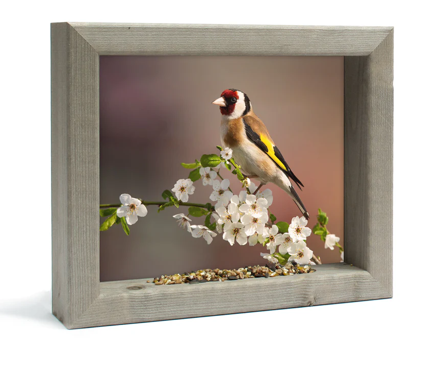 Feedy vogelvoederlijst small - Putter in bloesem (31 x 25 cm)