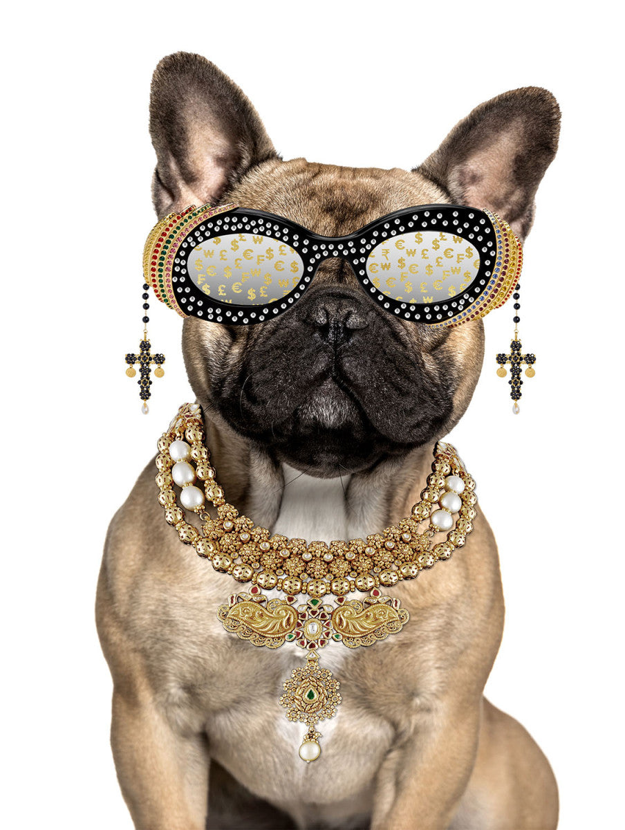 Glasschilderij met goudfolie Buldog met bril 60x80 cm