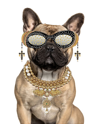 Glasschilderij met goudfolie Buldog met bril 60x80 cm