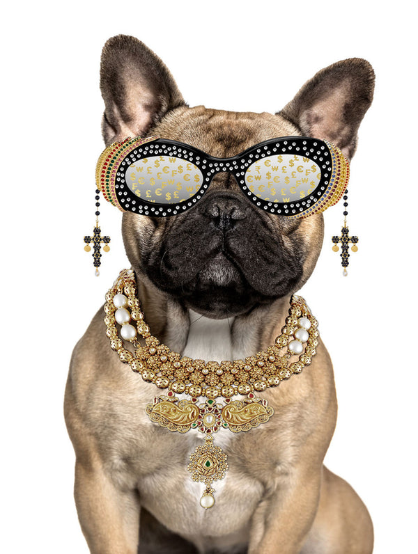 Glasschilderij met goudfolie Buldog met bril 60x80 cm