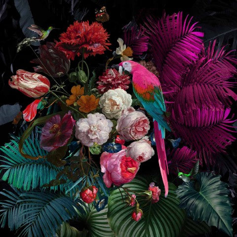 Glasschilderij kleurrijke papegaai/jungle 80x80 cm (Magazijn sale)