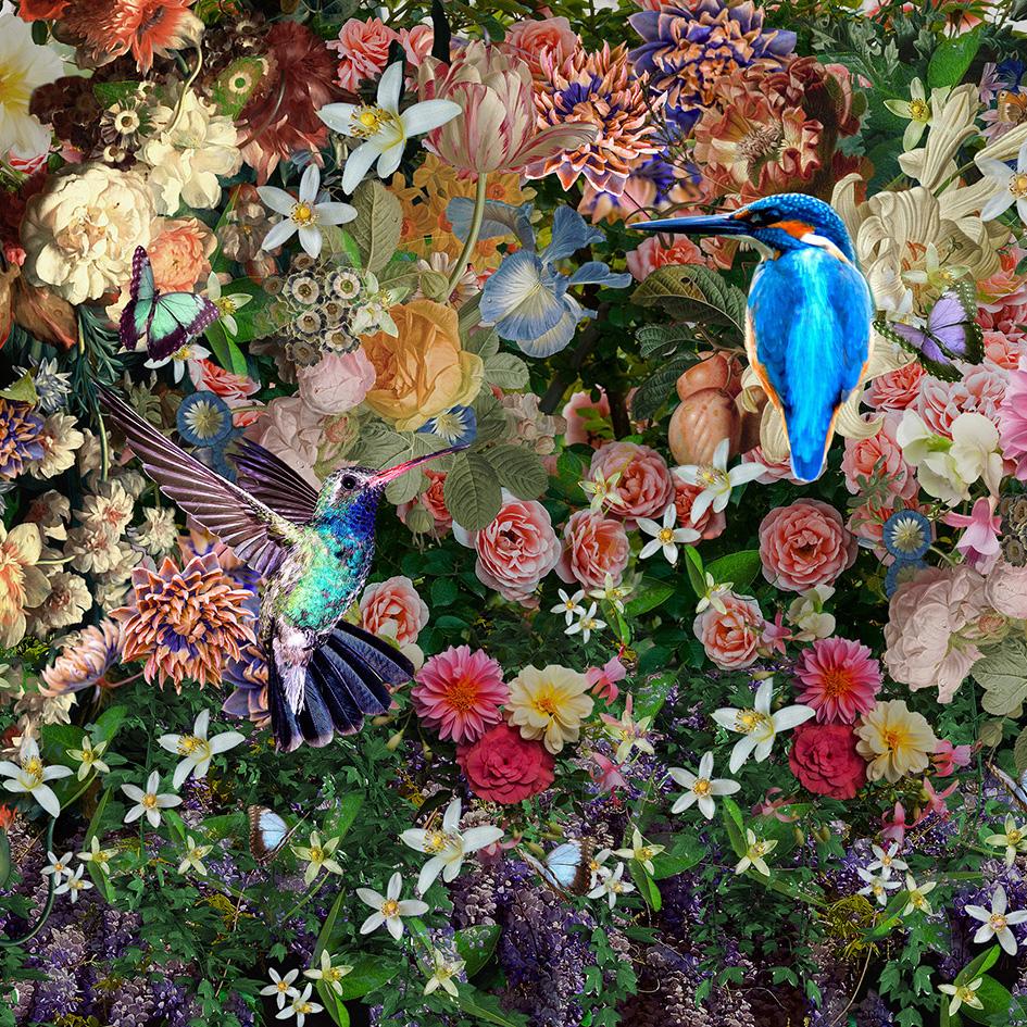 Glasschilderij Bloemen, ijsvogel & Kolibri vogel 80x80 cm