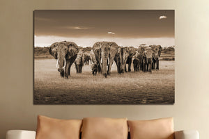 Glasschilderij Olifanten kudde savanne 120x80 cm