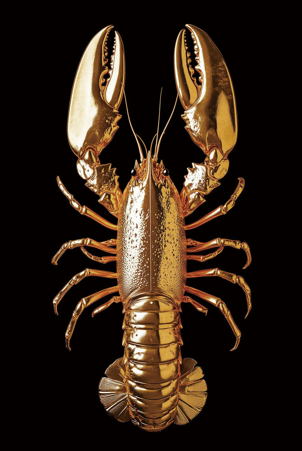 Glasschilderij gouden kreeft zwarte achtergrond 80x120 cm