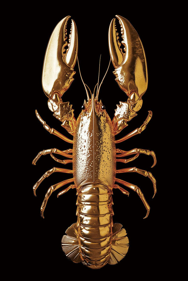 Glasschilderij gouden kreeft zwarte achtergrond 80x120 cm