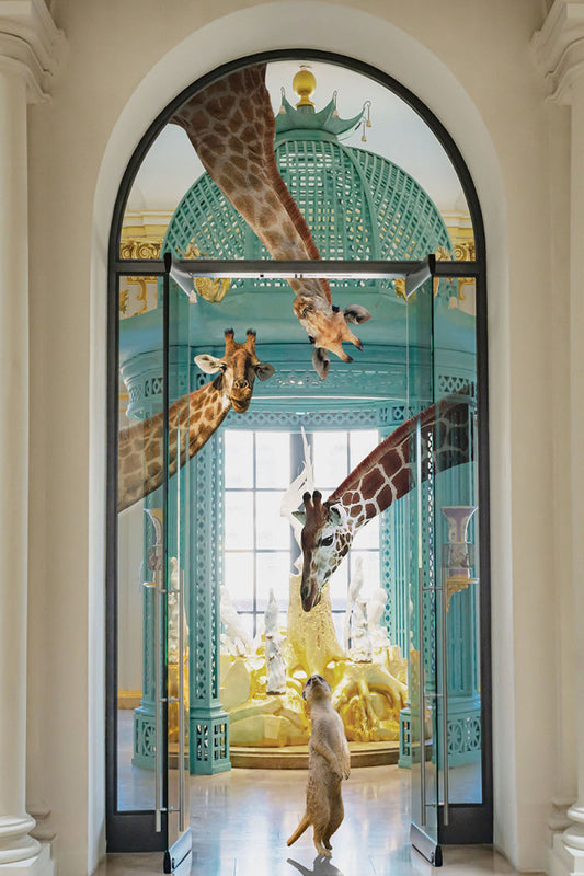 Glasschilderij Giraffen & stokstaartje 80x120 cm van Ter Halle