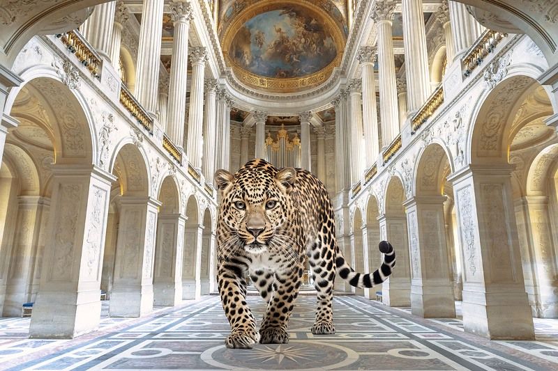 Glasschilderij Luipaard in paleis  120x80 cm