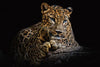 Glasschilderij luipaard 120x80 cm
