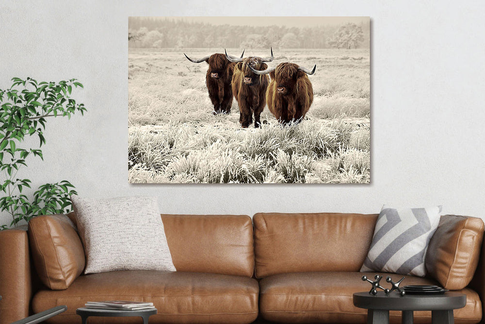 Glasschilderij 3 schotse hooglanders winter landschap 120x80 cm