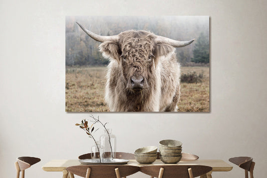 Glasschilderij schotse hooglander - 120x80 cm