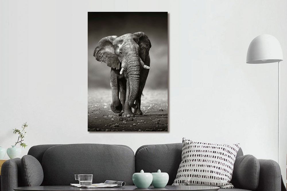 Glasschilderij lopende Olifant zwart/wit 80x120 cm