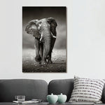 Glasschilderij lopende Olifant zwart/wit 80x120 cm