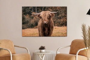 Glasschilderij schotse hooglander in kleur - 120x80 cm