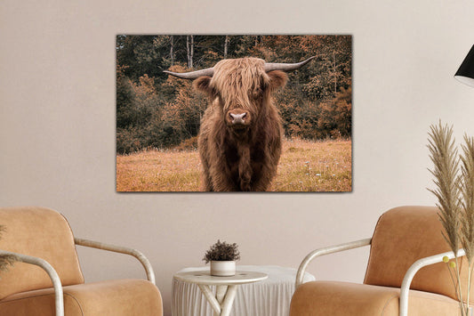Glasschilderij schotse hooglander in kleur - 120x80 cm van Ter Halle, foto 2