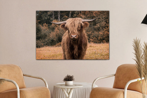 Glasschilderij schotse hooglander in kleur - 120x80 cm