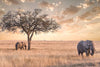 Glasschilderij olifanten op de savanne - 120x80 cm
