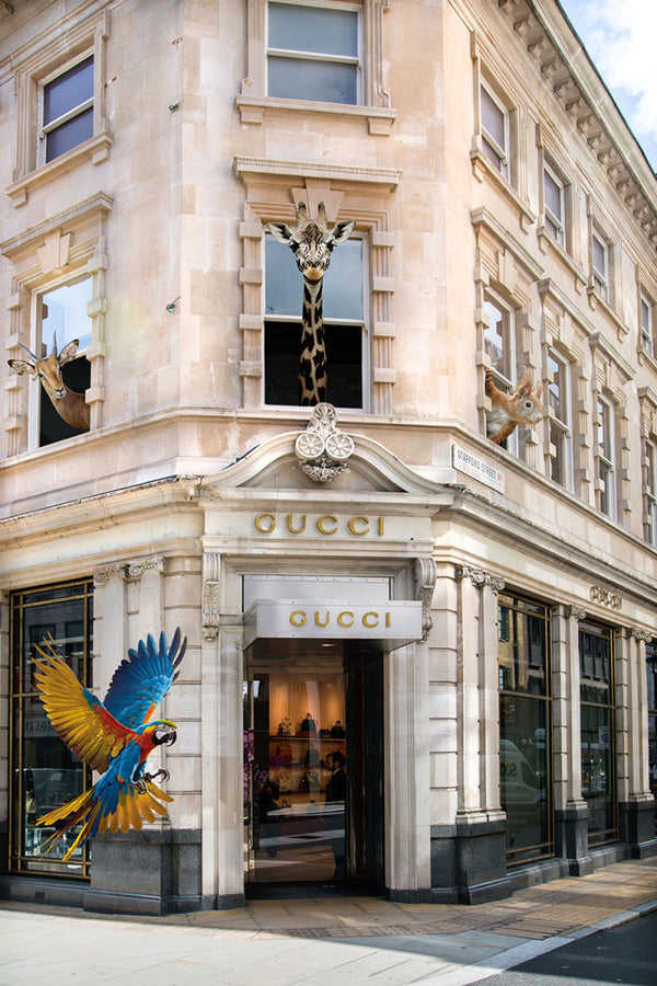 Glasschilderij Vliegende papegaai voor mode winkel 80x120 cm