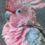 Glasschilderij roze papagaai vogel 80x120 cm