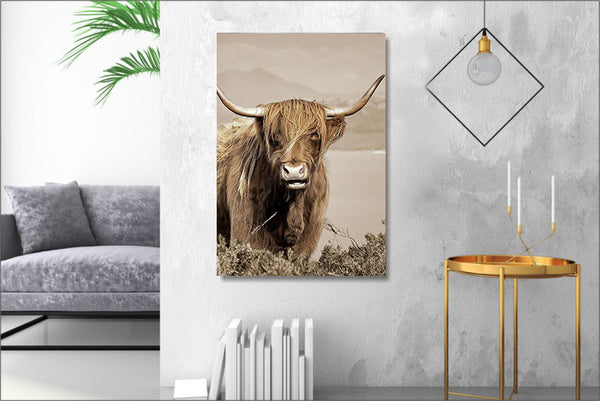 Glasschilderij schotse hooglander links 160x110cm