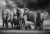 Glasschilderij kudde olifanten 160x110 cm