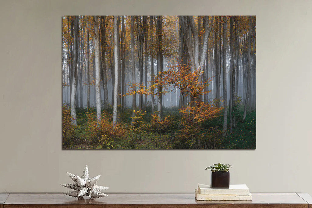 Glasschilderij Berkenbos 160x110 cm