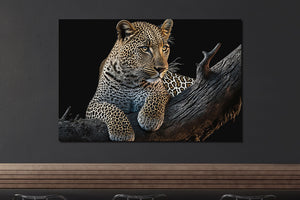 Glasschilderij Luipaard in boom met 3D reliëf 160x110 cm