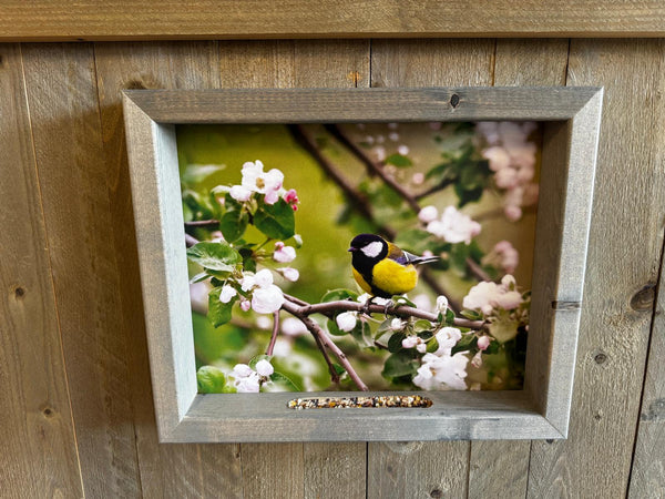 Feedy Vogelvoederlijst medium - Koolmees in bloesem (41 x 34 cm)