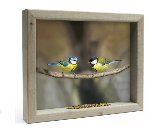 Feedy Vogelvoederlijst medium - Koolmees & pimpelmees op tak (41 x 34 cm)