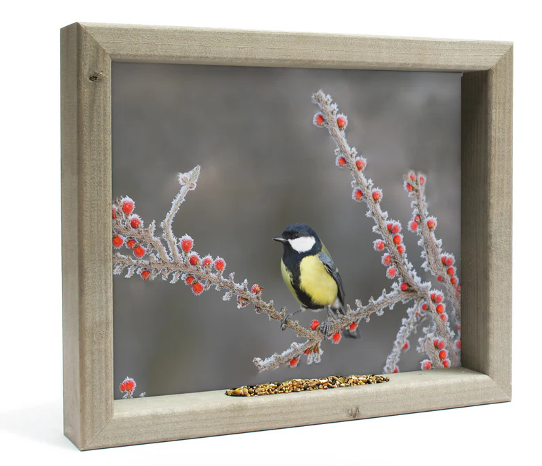 Feedy Vogelvoederlijst medium - Koolmees op winter tak  (41 x 34 cm) (Magazijn sale b-keus)