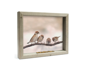 Feedy Vogelvoederlijst medium - Mussen op tak dinnertime