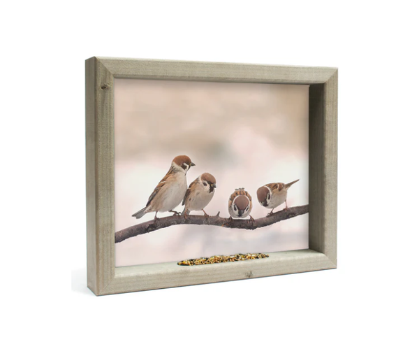 Feedy Vogelvoederlijst medium - Mussen op tak dinnertime