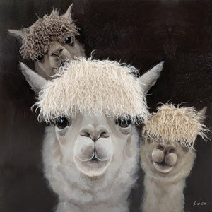 Aaibaar Olieverfschilderij met imitatiebond  Lama`s 80x80 cm
