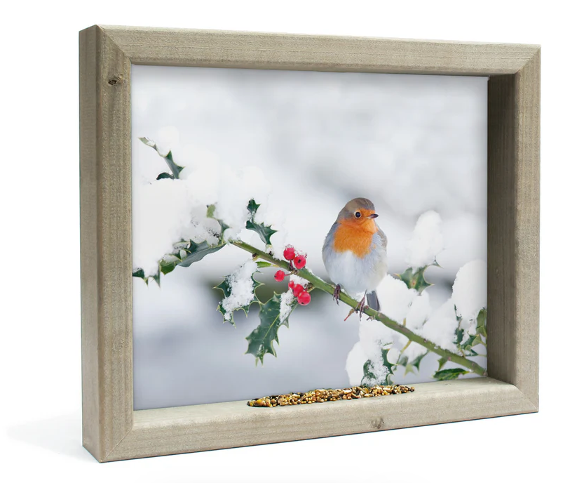 Feedy Vogelvoederlijst medium - Roodborstje op winter tak  (41 x 34 cm) (Magazijn sale b-keus)