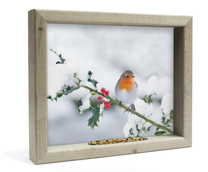 Feedy Vogelvoederlijst medium - Roodborstje op winter tak  (41 x 34 cm) (Magazijn sale b-keus)